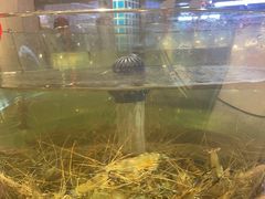 -南海底小海鲜·湘菜(鲁巷吴家湾店)