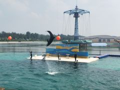 -秦皇岛乐岛海洋王国