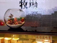 -瑞穗牧场