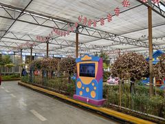 -南宫五洲植物乐园