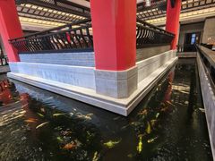 -龙悦湾酒家·八阵鱼生·渔人码头店