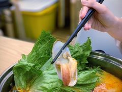 小象拔蚌-派派茶客(金杏花园店)