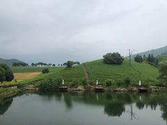 -帐篷客·溪龙茶谷度假酒店