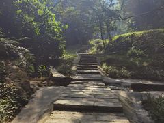 -黄埔油麻山森林公园