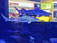 -凯德广场(学府店)