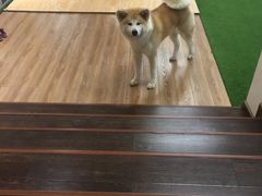-YCHL Studios健身工作室(市二宫店)