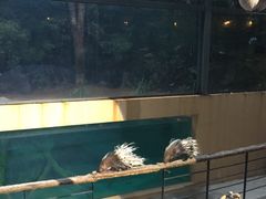 -清迈夜间动物园