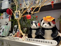 -轩客会(熊猫书店)