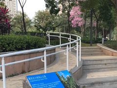 -景田北六街公园宠物主题园