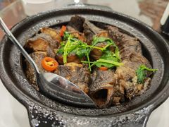 -长平肥姐白粥·海鲜打冷
