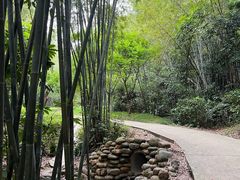 -广州市白云山风景名胜区