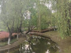 -贡湖湾湿地公园