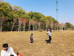 -艾溪湖湿地公园