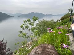 -宝荣鱼馆·临湖之宴(千岛湖店)