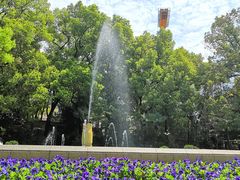 -上海交通大学医学院附属瑞金医院(总院)