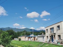 -苏家坨柳林村二月兰花海