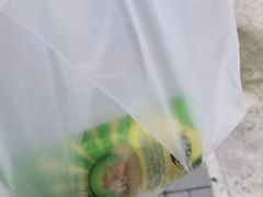 -酷以爬仙阁实体爬宠店·守宫·蜥蜴·专业繁育