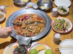 -成老灶火锅鸡(平山店)