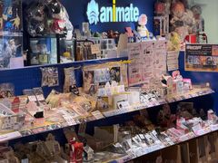 -Animate(工人体育场东路店)