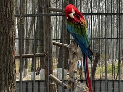 -北京野生动物园