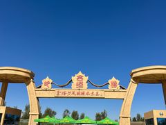 -金塔沙漠胡杨林景区
