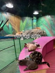 -萌宠亲子动物乐园(槐房万达店)