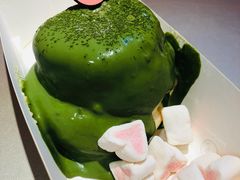 -狐狸和向日葵(北京路店)