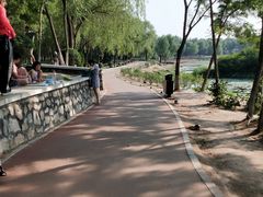 -丁香湖公园