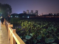 -南关北海公园