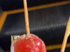 -羲和雅苑•北京烤鸭(国贸商城店)