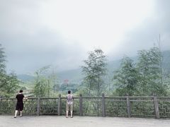 -井冈山风景名胜区