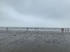 -江山半岛白浪滩景区