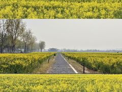 -汉长安城未央宫国家考古遗址公园