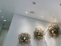 -YESIDO椰岛美容