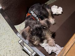 -BOCATA 西班牙餐厅(三里屯店)