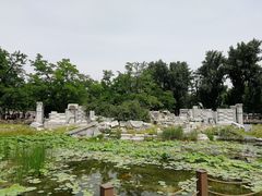 -火齐潮汕砂锅粥(五道口店)