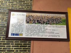 -鹅城