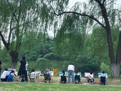-莫子山公园
