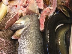 -金砂阿洲鱼册店
