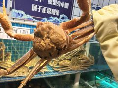 -震海贝烤贝·民俗特色店(延吉总店)