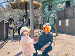 -燕塞湖鸟语林景区
