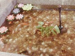 -天山醉美辣子鸡(文艺路店)