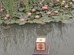 -漳泽水库水上公园