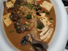 -大雄九老菜馆(南门桥店)