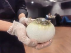 -肆月河豚·新淮扬(金融街店)