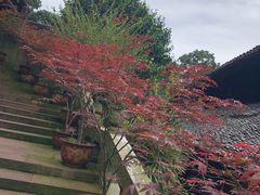 -峨眉山报国寺