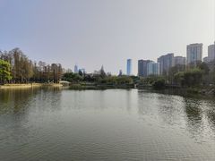 -四海公园(南山区)