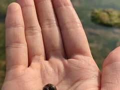 -青岛第三海水浴场