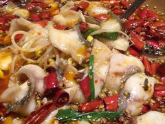 -蜀都丰 正宗水煮鱼(建德天城店)
