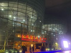 -上海东方艺术中心